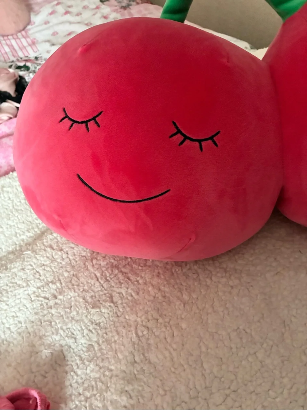 Fruit of the Loom Plush Cherry Twin Pillow - Pink & Green